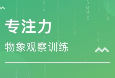 培养孩子专注力的10种方法