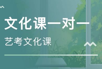  艺术生如何才能考上一本？如何复习文化课？ 