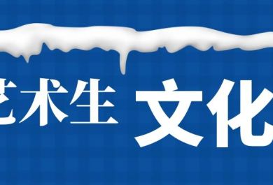 艺术生文化课补习班的辅导方案有哪些