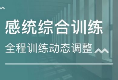 杭州金色雨林儿童感觉统合训练怎么样