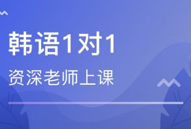 成都东佳韩语1V1培训