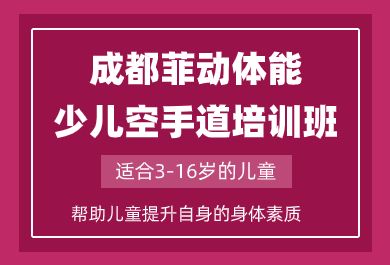 成都菲动儿童空手道培训班