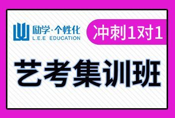 安阳励学艺考文化课集训班