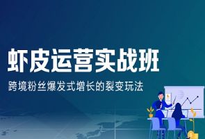 深圳汇学Shopee运营实战班