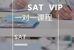 天津新通SATVIP一对一培训班