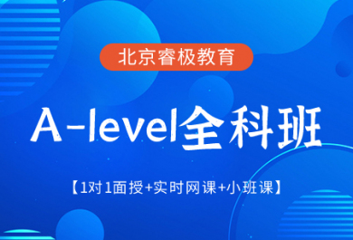 北京睿极A-level英国高中全科辅导班