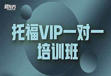 天津新东方托福VIP一对一培训班