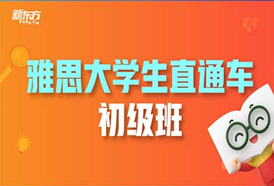 天津新东方雅思大学生直通车初级班