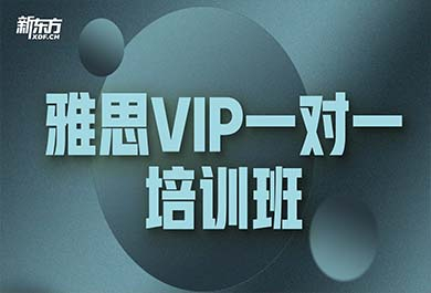 天津新东方雅思VIP一对一培训班