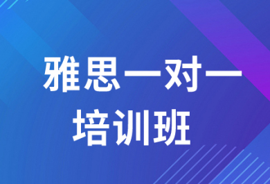 广州威学雅思一对一培训班