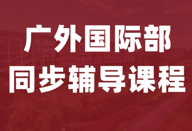 东莞广外国际部同步课程辅导