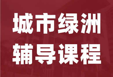 东莞城市绿洲学校课程辅导