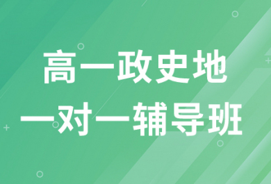 安阳金博高一政史地一对一辅导班