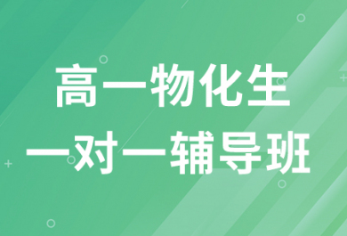 平顶山金博高一物化生一对一辅导班