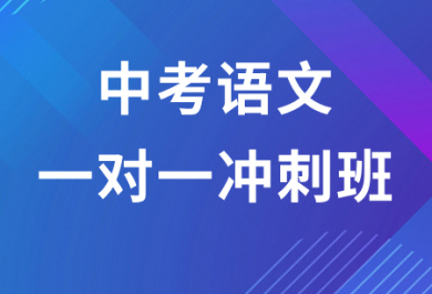 昆明中考语文一对一辅导班