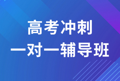 成都卓越高考一对一辅导班