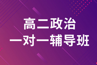 潍坊迪诺高二政治一对一补习班