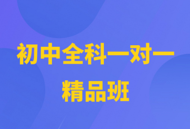 重庆顶伯初中全科一对一补习班