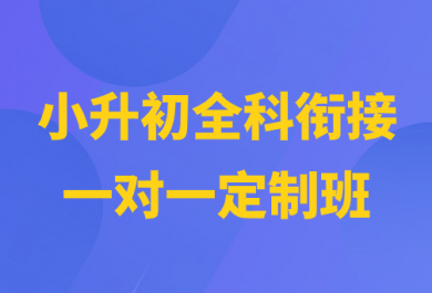 重庆顶伯小升初一对一衔接班