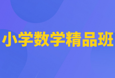 重庆顶伯小学数学一对一辅导班