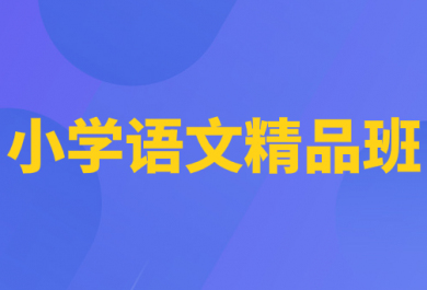 重庆顶伯小学语文一对一补习班