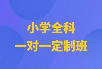 重庆顶伯小学全科一对一补习班