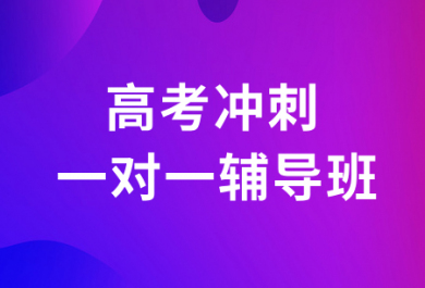 佛山金博高考冲刺一对一辅导班