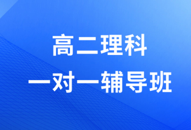 佛山金博高二理科一对一补习班