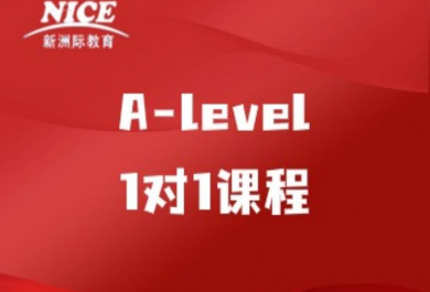 深圳新洲际A-level VIP1对1培训班