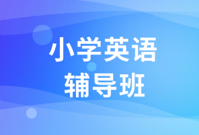 成都丹秋小学英语一对一补课班