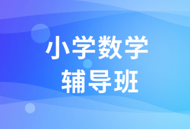 成都丹秋小学数学一对一补习班