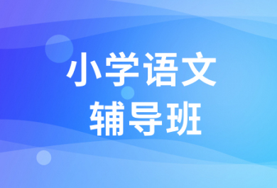 成都丹秋小学语文一对一辅导班