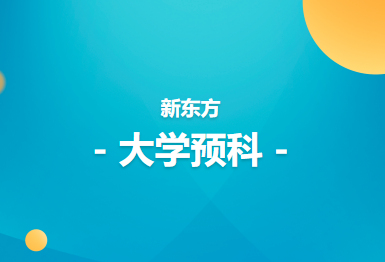 南京新东方大学预科高数班