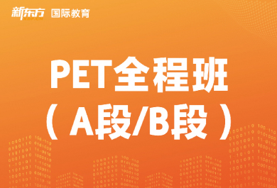 东莞新东方PET全程班