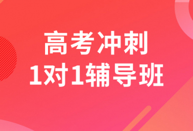 北京圆梦高考冲刺一对一辅导班