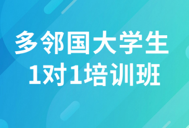 北京新东方多邻国大学生一对一培训班